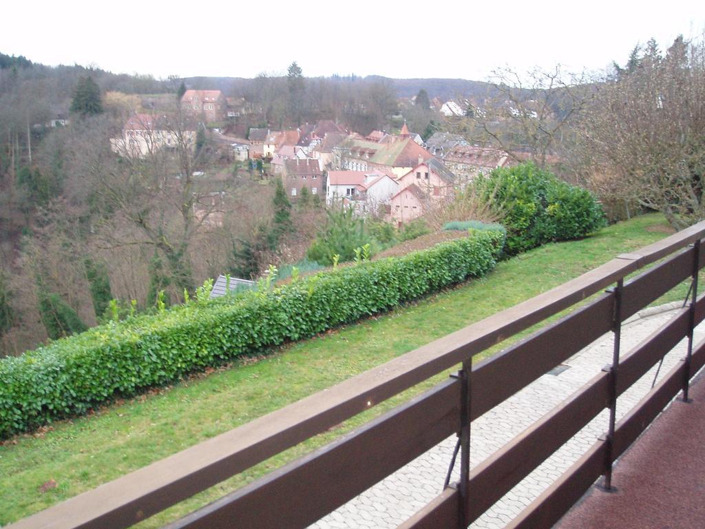 Villa Du Lion D'Or La Petite-Pierre Phòng bức ảnh