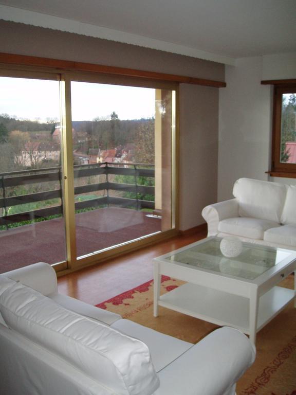 Villa Du Lion D'Or La Petite-Pierre Phòng bức ảnh